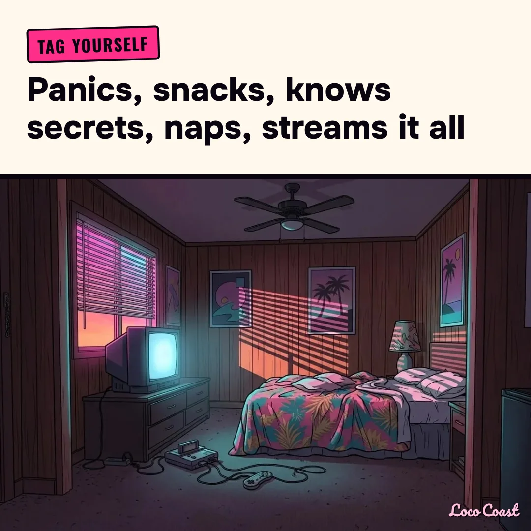 Tag yourself: Room 6 edition: Tag yourself / Panics, snacks, knows secrets, naps, streams it all